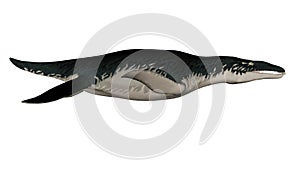 Liopleurodon prehistoric fish - 3D render