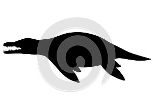 Liopleurodon silhouette