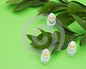 Lip balms with green plant branches