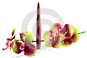 A lip liner and a pink wax flower.