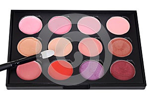 Lip makeup palette with brush