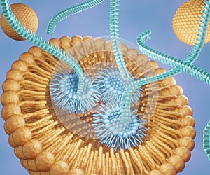 lipid-based nanoparticles is carrying RNA strands or small interfering RNA or siRNA, mRNA or CRISPR