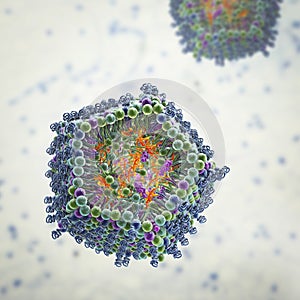 Lipid nanoparticle mRNA vaccine