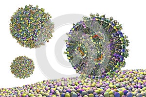 Lipid nanoparticle mRNA vaccine