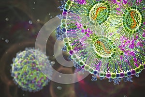 Lipid nanoparticle mRNA vaccine