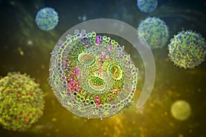 Lipid nanoparticle mRNA vaccine