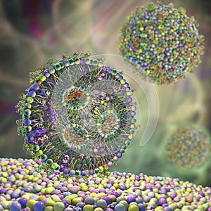 Lipid nanoparticle mRNA vaccine