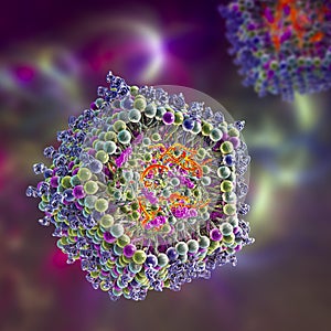 Lipid nanoparticle mRNA vaccine