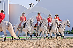 Lipizzan Stallions show