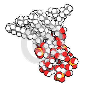 Lipopolysaccharide LPS, lipid A and inner core fragment endotoxin molecule from E. coli. photo