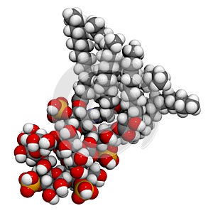Lipopolysaccharide LPS, lipid A and inner core fragment endotoxin molecule from E. coli. photo