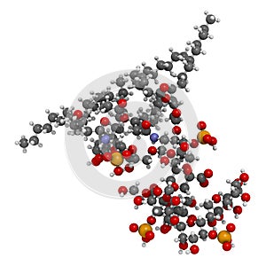 Lipopolysaccharide LPS, lipid A and inner core fragment endotoxin molecule from E. coli. photo