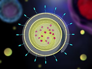 Liposome