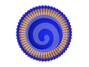 Liposome Bi-layer Structure 3D Illustration