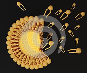 Isolated liposomal structure scattered 3d rendering