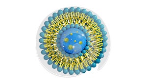 Liposome structure cell 3D rendering