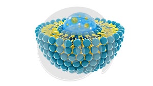 Liposome structure cell 3D rendering photo