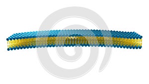 Liposome structure cell 3D rendering