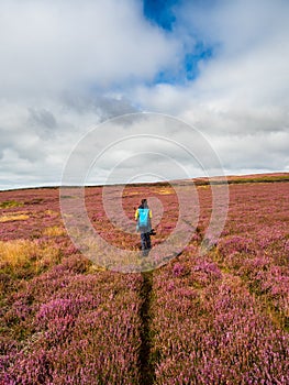 Lippersley to Beamsley Beacon