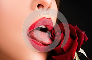 Lips lick rose closeup. Beautiful woman lips with rose.