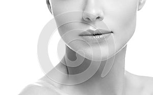 Lips mouth smile woman beautiful pink natural lips female isolated on white monochrome