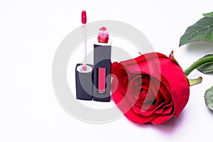 Lipstick brush uses lips for women