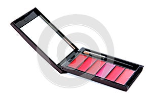 Lipsticks palette with brush and mirror case isolated on white background. Colorful lip gloss isolated