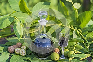 Liqueur from young green walnuts, remedy for stomach ache. Tincture of green walnuts in a glass bottle in the garden