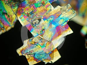 Liquid crystal under polarized light microscope