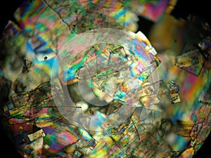 Liquid crystal under polarized light microscope