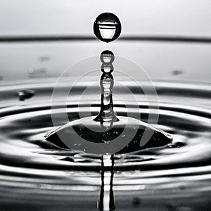 Liquid descends, forming a perfect sphere before joining its brethren in the cup below