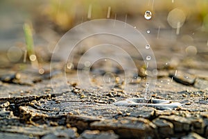 Liquid droplets fall on parched soil, creating a mesmerizing sight of renewal