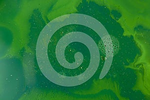 Liquid green background with bubbles photo