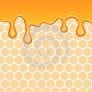 Liquid honey background. Texture of beehive, closeup honeycomb.