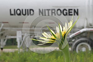 Liquid Nitrogen photo