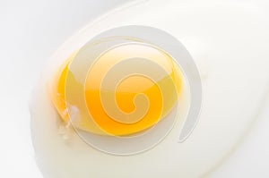 Liquid raw egg, white dish, closeup, food