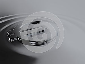 Liquid silver euro