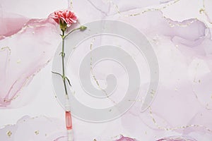 Liquid sustainable essence, cosmetic fluid with pink flower based on blooming. Multiuse. Skin care beauty products on photo