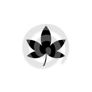 Liquidambar Leaf, Sweetgum, American Storax. Flat Vector Icon illustration. Simple black symbol on white background. Liquidambar, photo