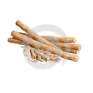 Liquorice root isolated dried sticks isolated digital art illustration. Licorice Glycyrrhiza glabra, sweet root