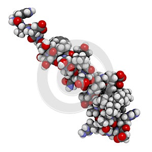 Liraglutide peptide drug molecule. Agonist of the glucagon-like peptide-1 receptor used in treatment of diabetes and obesity photo