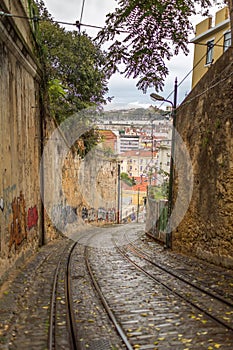 Lisbon Grafitti