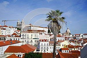 Lisbon: Miradouro Santa Luzia
