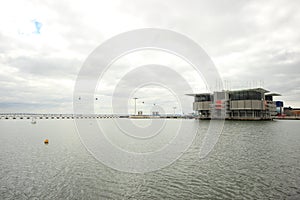 Lisbon Oceanarium