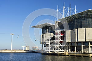 The Lisbon Oceanarium