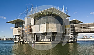 Lisbon Oceanarium