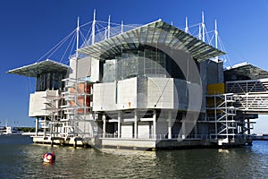 The Lisbon Oceanarium photo