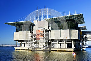 The Lisbon Oceanarium