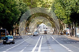 Lisbon, Portugal: Avinada de Liberdade avenue with arching green trees over the highway photo