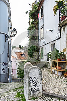 Lisbon typical street